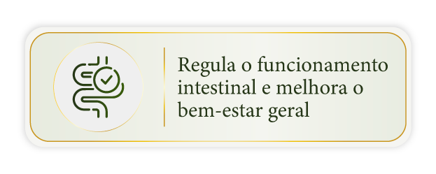 Regula o funcionamento intestinal e melhora o bem-estar geral